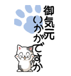 タイトル	猫大好き！（大）その23（敬語）（個別スタンプ：21）