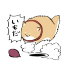 にわいぬ秋（個別スタンプ：2）