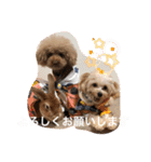 年中使える友だちstamp（個別スタンプ：1）