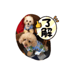 年中使える友だちstamp（個別スタンプ：3）