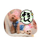 年中使える友だちstamp（個別スタンプ：4）