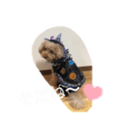年中使える友だちstamp（個別スタンプ：6）