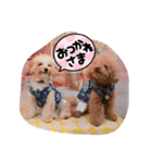 年中使える友だちstamp（個別スタンプ：7）