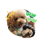 年中使える友だちstamp（個別スタンプ：8）