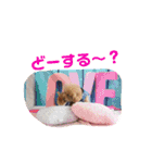 年中使える友だちstamp（個別スタンプ：10）
