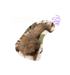 年中使える友だちstamp（個別スタンプ：11）