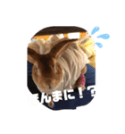 年中使える友だちstamp（個別スタンプ：13）