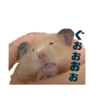 キンクマのもち様（個別スタンプ：9）