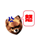 ぽめ日和2（個別スタンプ：4）