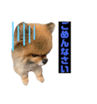 ぽめ日和2（個別スタンプ：10）