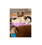 猫好きのスタンプmaru（個別スタンプ：8）