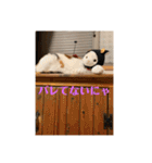猫好きのスタンプmaru（個別スタンプ：28）