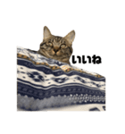 うちの「ふな」（個別スタンプ：10）