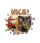 Here is pucchi（個別スタンプ：16）