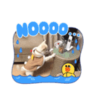 Here is pucchi（個別スタンプ：17）