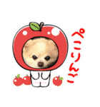 Here is pucchi（個別スタンプ：24）