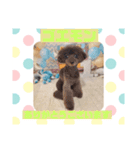 HappyBathPepのお友達 F（個別スタンプ：1）