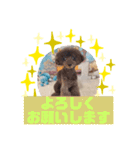 HappyBathPepのお友達 F（個別スタンプ：4）