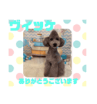HappyBathPepのお友達 F（個別スタンプ：5）