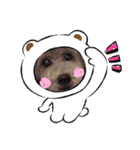 HappyBathPepのお友達 F（個別スタンプ：7）