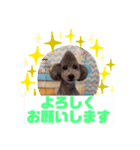 HappyBathPepのお友達 F（個別スタンプ：8）