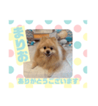 HappyBathPepのお友達 F（個別スタンプ：9）