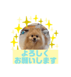 HappyBathPepのお友達 F（個別スタンプ：12）