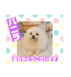 HappyBathPepのお友達 F（個別スタンプ：13）