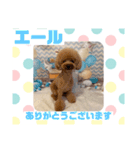 HappyBathPepのお友達 F（個別スタンプ：17）