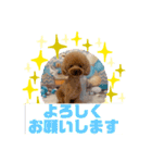 HappyBathPepのお友達 F（個別スタンプ：20）