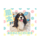 HappyBathPepのお友達 F（個別スタンプ：21）