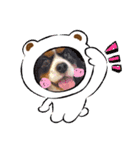 HappyBathPepのお友達 F（個別スタンプ：23）