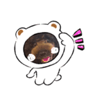 HappyBathPepのお友達 F（個別スタンプ：27）