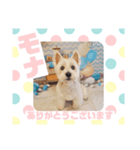 HappyBathPepのお友達 F（個別スタンプ：29）