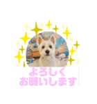 HappyBathPepのお友達 F（個別スタンプ：32）