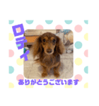 HappyBathPepのお友達 F（個別スタンプ：33）