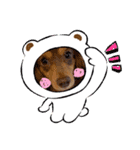 HappyBathPepのお友達 F（個別スタンプ：35）