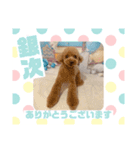 HappyBathPepのお友達 F（個別スタンプ：37）