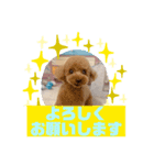 HappyBathPepのお友達 F（個別スタンプ：40）