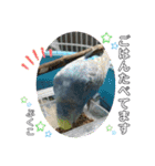インコぷくこのきまぐれスタンプ（個別スタンプ：30）