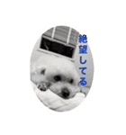 スノーウィー②（個別スタンプ：2）