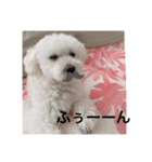 スノーウィー②（個別スタンプ：8）