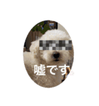 スノーウィー②（個別スタンプ：15）
