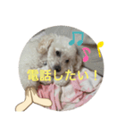 スノーウィー②（個別スタンプ：16）