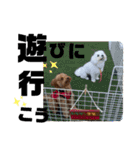 きっさん＆ふうさん（個別スタンプ：2）