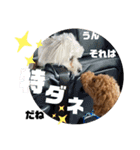 きっさん＆ふうさん（個別スタンプ：3）