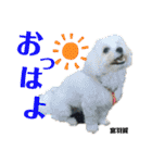 きっさん＆ふうさん（個別スタンプ：8）