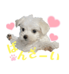 きっさん＆ふうさん（個別スタンプ：9）