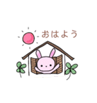 ピンクうさぎのUSAKOスタンプ(日常)（個別スタンプ：1）