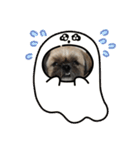 みうらふぃーの愛犬では無い（個別スタンプ：7）